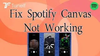 How to Fix Spotify Canvas Not Working 2024 | Tunelf