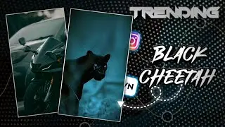 Instagram Trending Black Cheetah Reel Editing | VN video editor Tamil | Cheetah looking reel editing