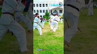 taekwondo kicks is 😱 oopp