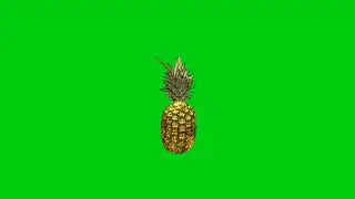 Animated 3D pineapple Fruit-Free Green Screen