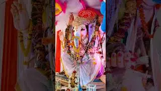 Ganapati bappa morya #ganapatibappamorya #kadapa #vinayagachathurthi