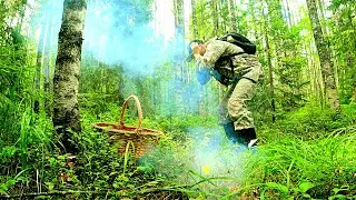 Грибник Зашёл в Берёзы и Обалдел! Нашёл Грибной Рай! Руки Устали Резать! Тихая Охота Грибы 2024