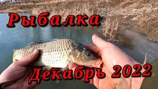 Рыбалка на поплавок в декабре.Дикие атаки карасей на удочку.