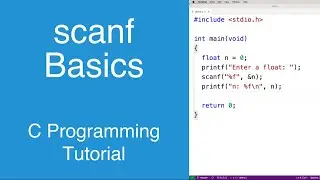 scanf Basics | C Programming Tutorial