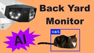 Tracking my CAT with AI!  Feat. Object Detection in Frigate and Viseron NVR