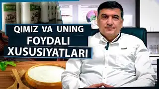 Qimiz va uning foydali xususiyatlari.