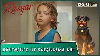 ROTTWEİLER İLE KARŞILAŞMA ANI - RÜZGAR FİLM