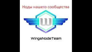 Ноды сообщества WingsNodeTeam