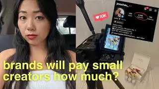 How to become an influencer PART 2 | influencer terms, secure & negotiate brand deals, rate cards