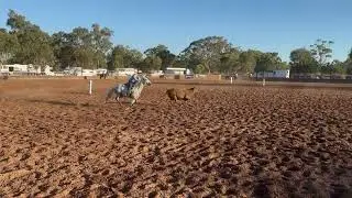 Kylandra Ted & Richard Sadler  2023 Liverpool Plains Maiden B Final (88)