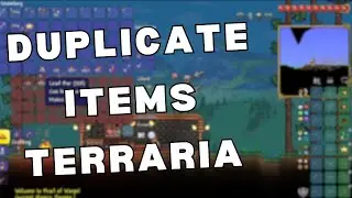 How to Duplicate Items in Terraria