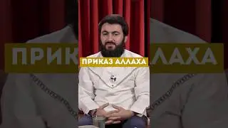 Приказ Аллаха @yusufberhudar #shorts #shortsvideo #ислам #истина #любовь #история