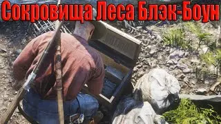 RDO. Как найти сокровища леса Блэк-Боун?