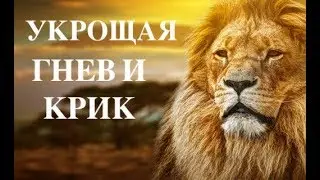 УКРОЩАЯ ГНЕВ И КРИК  -  Вячеслав Бойнецкий