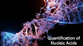 Quantification of Nucleic Acids: A260/A280 ratio, Nucleic Acid Concentration, Purity and Molarity