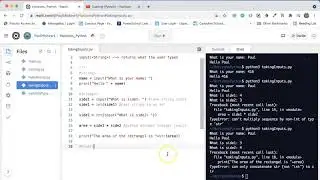 Taking Inputs (Python)