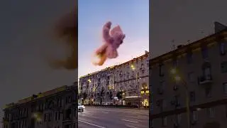 Анимация птицы в Blender. VFX