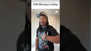 When Bloons Crash The Monkey Party