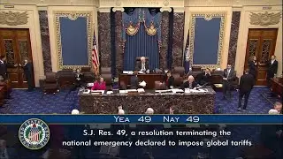 The Senate votes down resolution to block Trump's global tariffs amid economic turmoil