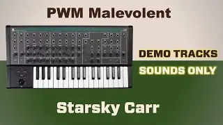 PWM Malevolent // A Testament to Bedevilment