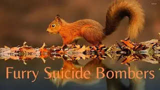 Squirrels Are Better Terrorists Than Terrorists