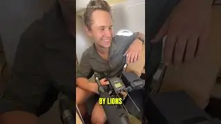 Traveling With Lions 👀