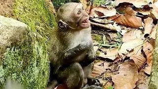 Julina so break heart!! Poor big baby Julina cry much cos mum not allow for milk