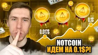 NOTCOIN СНОВА ДАЁТ ИКСЫ! МОЙ ПЛАН ДЕЙСТВИЙ?!