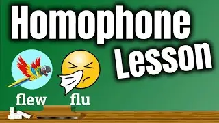 Homophone Lesson for Children | Grammar for Kids