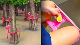 This Homemade Invention Shocked Even the President of America. IQ 999