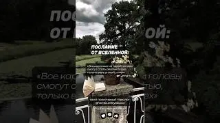 Обучайся новой нумерологии у меня и я научу тебя кодировать любые свои желания #таро #tarot #таролог