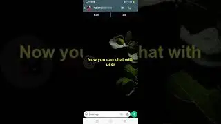 How to send WhatsApp Message to Unknown Numbers? YTshorts Short Video
