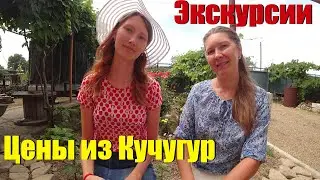 Отдых на море. Цены на развлечения. Кучугуры. Экскурсии с Азовского моря