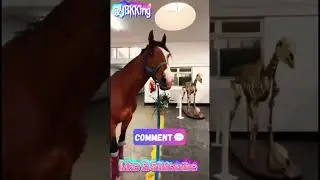 Bro This Horses Are Silly Asl!!!😂😂😂