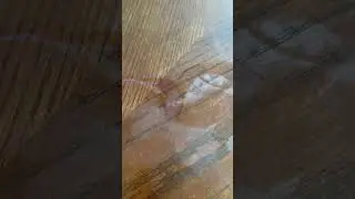 Убираем белое пятно со стола подручными средствами #diy