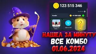 Хамстер Комбат комбо карты 1 июня! Combo Hamster Kombat