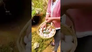 Девушка доказывает, что свободный выгул птицы делает чудеса на кухне!