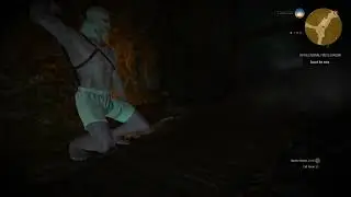 The Witcher 3 Autism