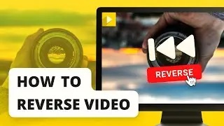 How to Reverse Video in Icecream Video Editor