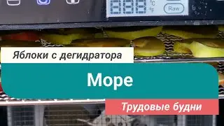 Яблоки с дегидратора // Металлопоиск // Море