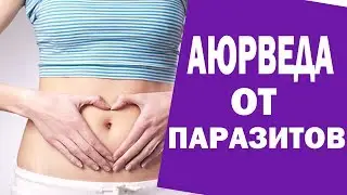Аюрведа от паразитов. Антипаразитарное средство. Аюрведа Здесь