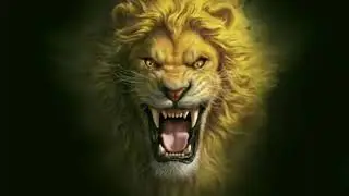 Angry Lion Moving Motion Effect Video.