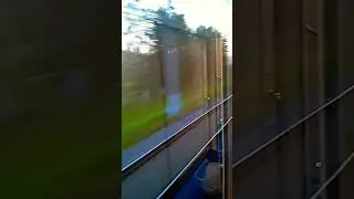 7 июля 2023 г.