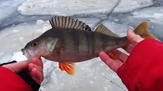 Окунь на Безмотилку (1-й Тест Підводної Камери)