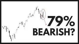 Technical Analysis: NVDA / TSLA / SPY / QQQ / PLTR / AMD