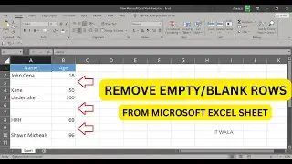 💫 How to Remove Empty or Blank Rows in Microsoft Excel | Step-by-Step Tutorial || IT WALA