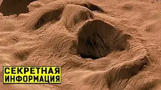 ПСИХОЛОГИ ЭТОГО ТОЧНО НЕ РАССКАЖУТ! Почему человек испытывает ПАНИЧЕСКИЕ АТАКИ? Секреты ВСД и ПА.
