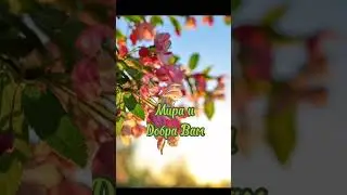 Доброе Утро !!!