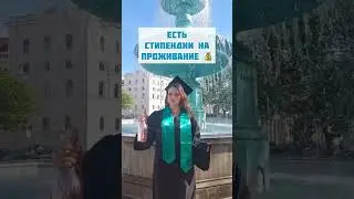 Лучший университет Германии с бесплатным обучением 