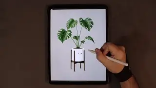 DRAWING A MONSTERA PLANT (#shorts)
